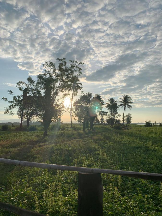 Vera Sunset Homestay Local Experience With Lao Family Muang Khong Ngoại thất bức ảnh